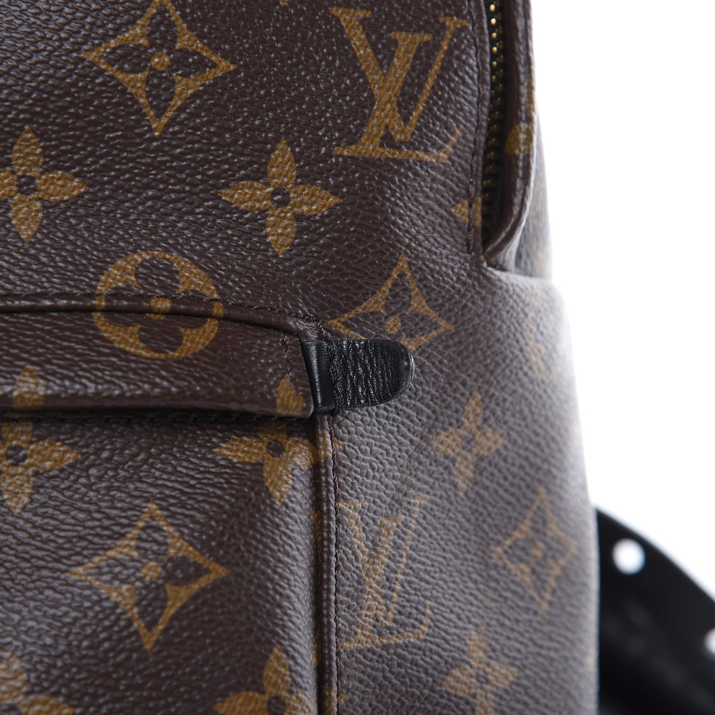 Monogram Palm Springs Backpack MM