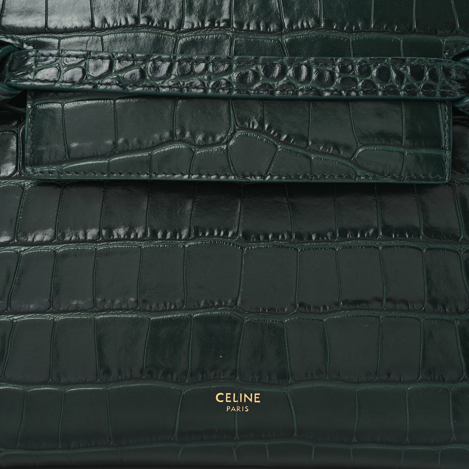 Celine Calfskin Crocodile Embossed Micro Belt Bag Amazone 7 of 9