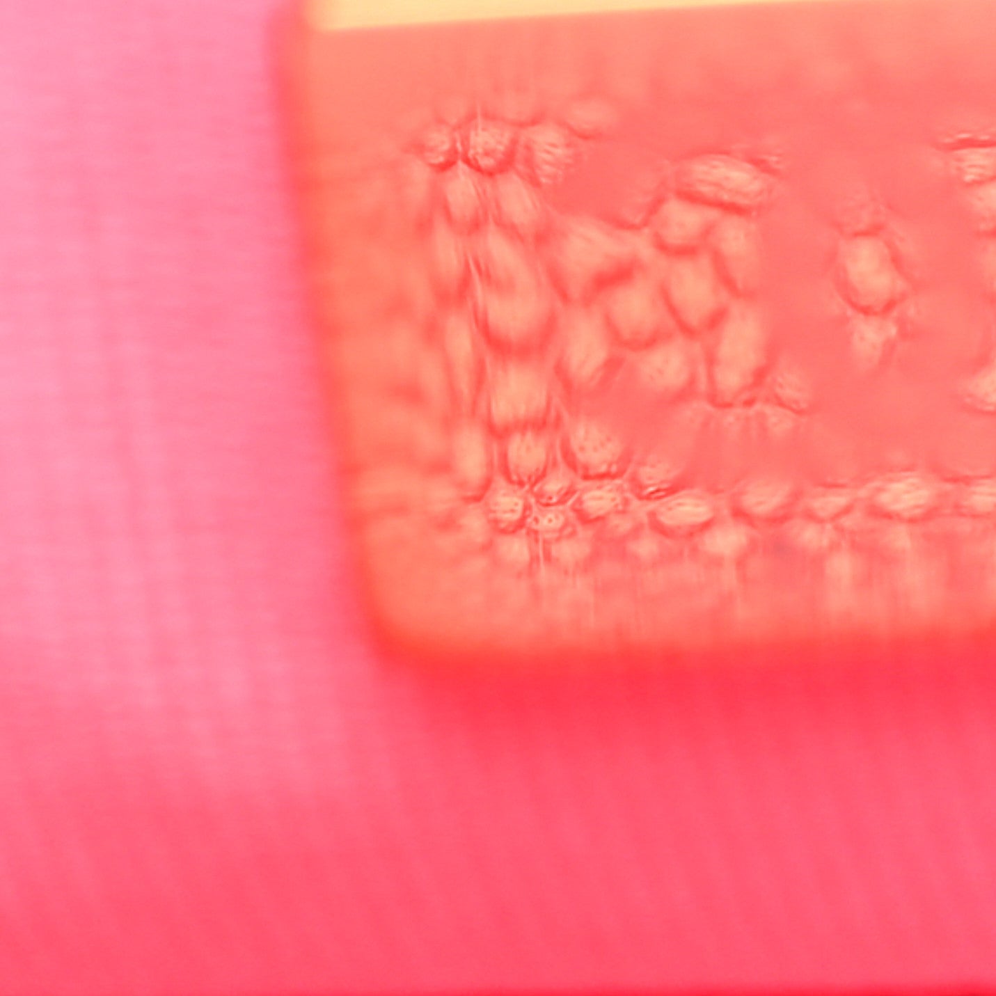 Shiny Caviar Quilted Small Chain Melody Flap Dark Pink