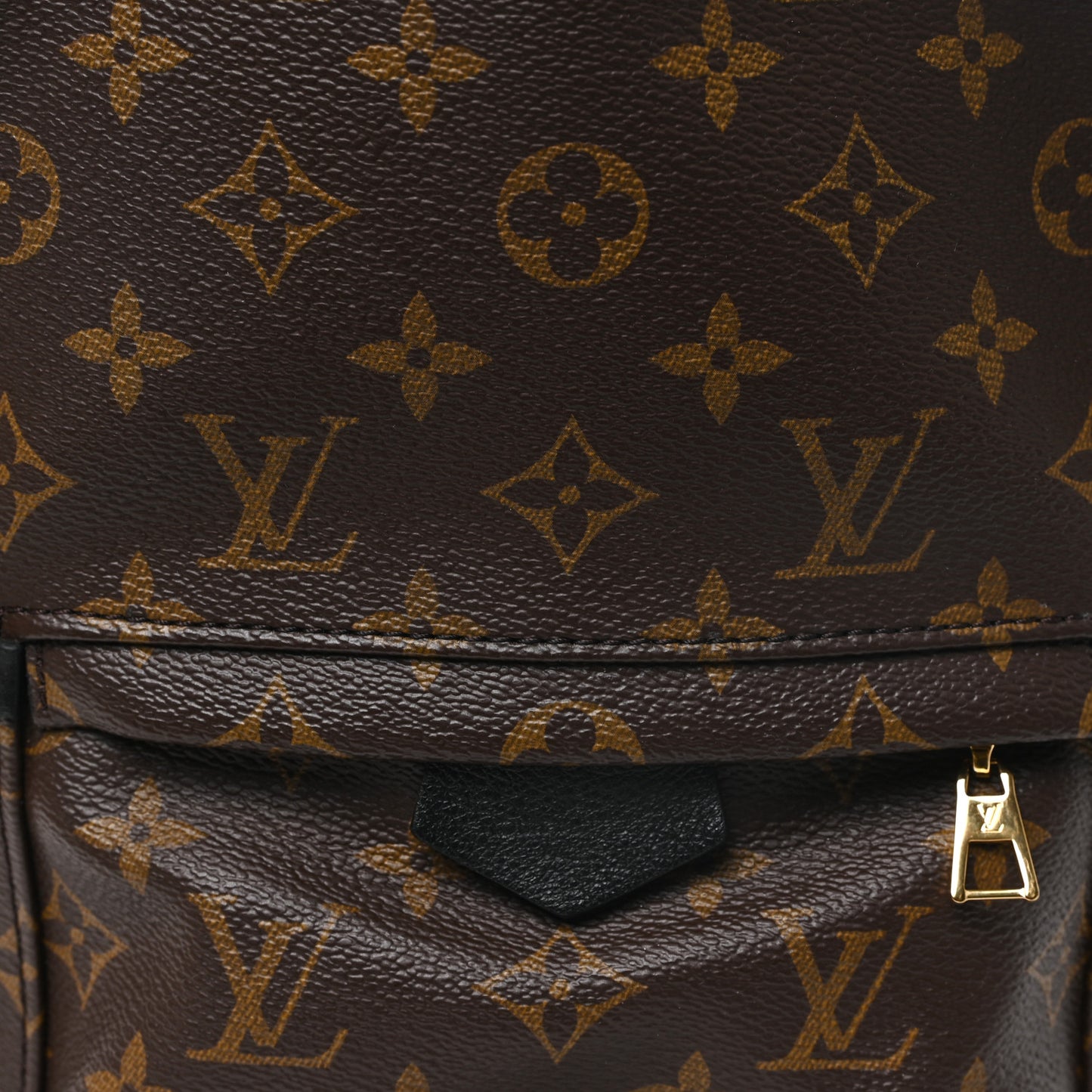 Monogram Palm Springs Backpack PM