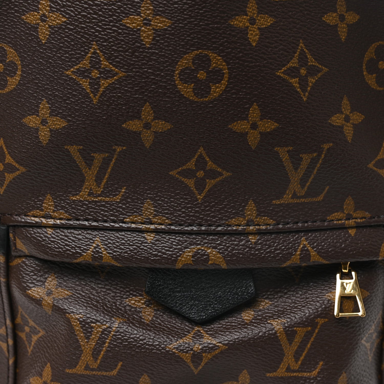 Louis Vuitton Monogram Palm Springs Backpack PM 8 of 10