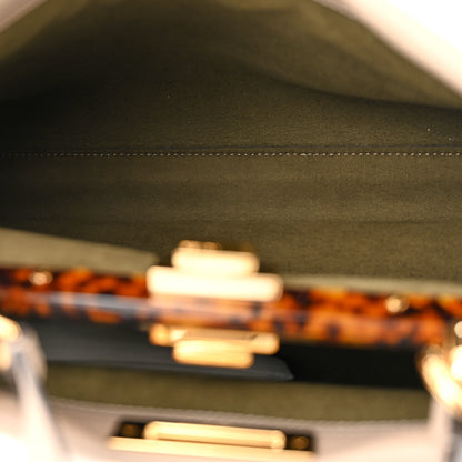 Fendi Vitello Seta Plexiglass Tortoise Medium Peekaboo Iconic Satchel Tortora 5 of 10