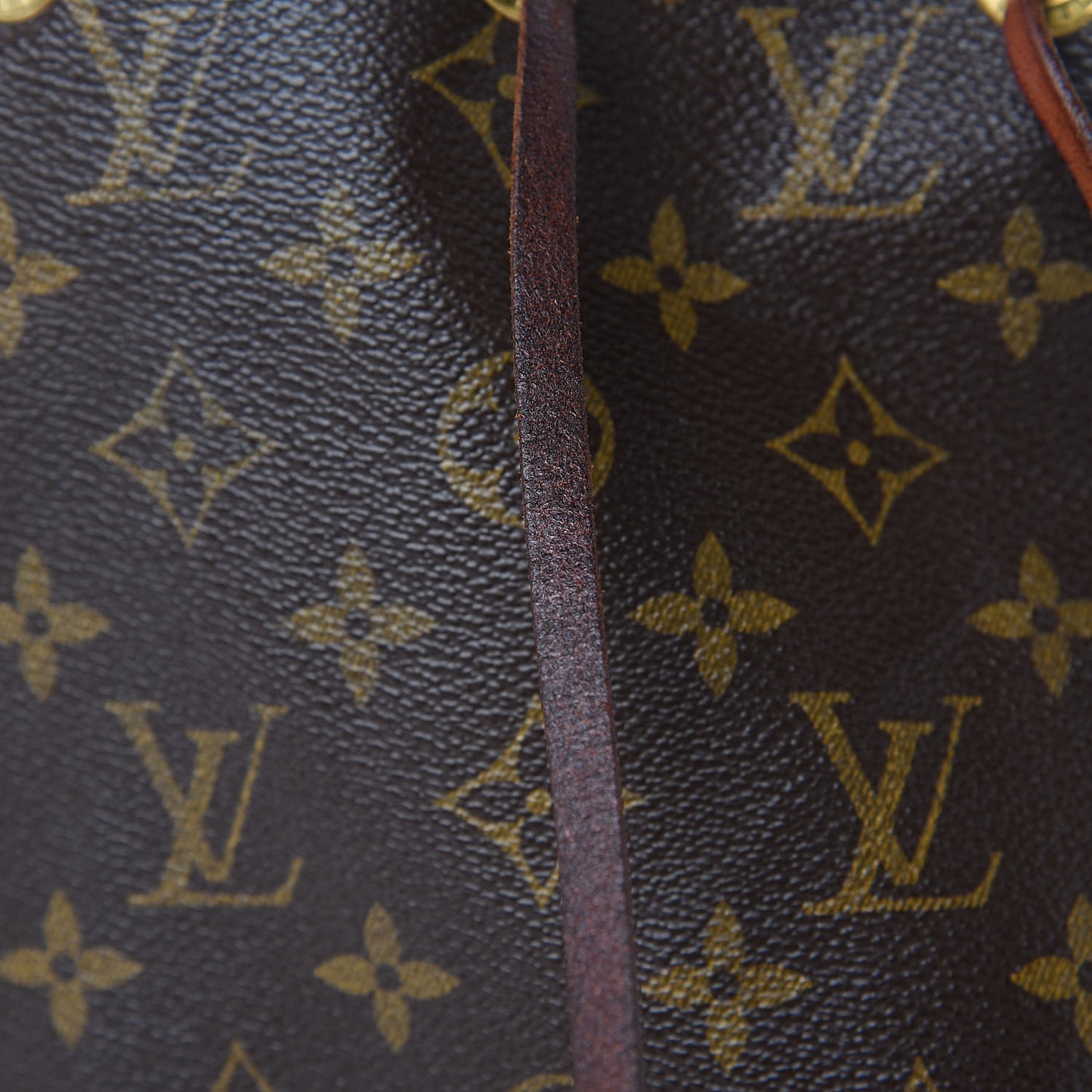 Monogram Petit Noe