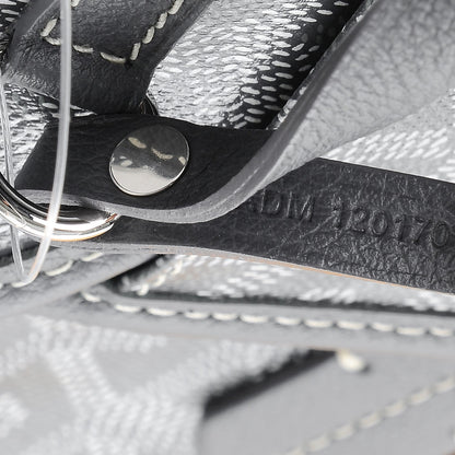 Goyard Goyardine Saint Louis PM Grey 10 of 10