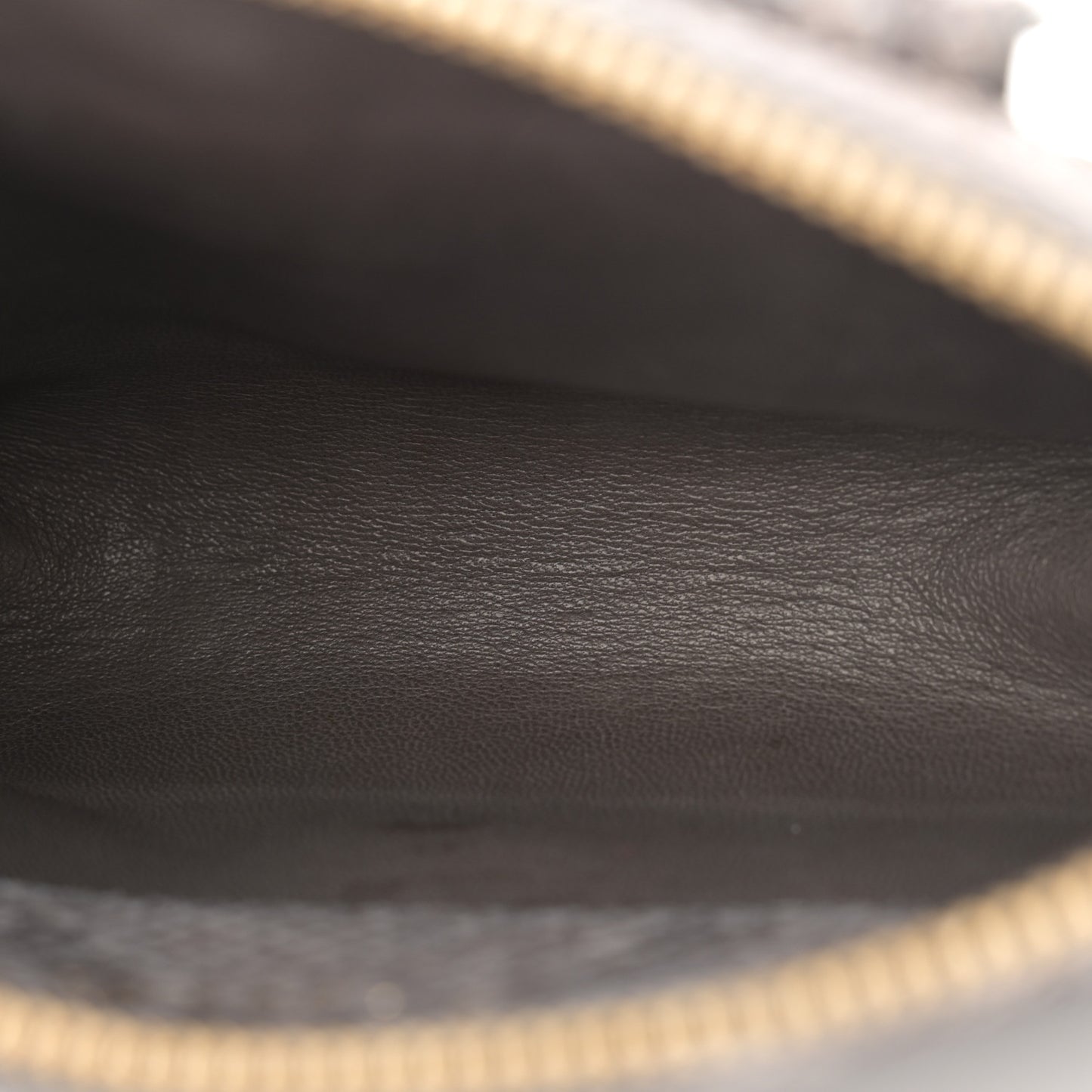 Snakeskin Gaia Trousse Cosmetic Pouch Grey