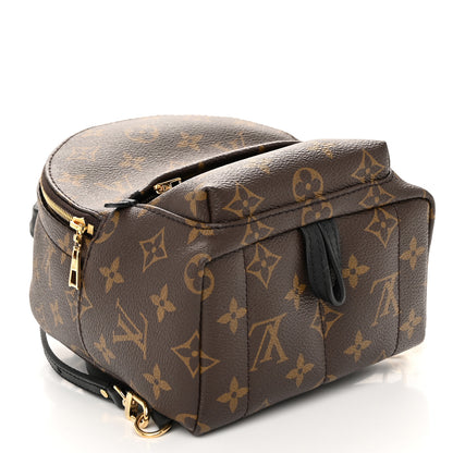 Louis Vuitton Monogram Palm Springs Backpack Mini 4 of 9