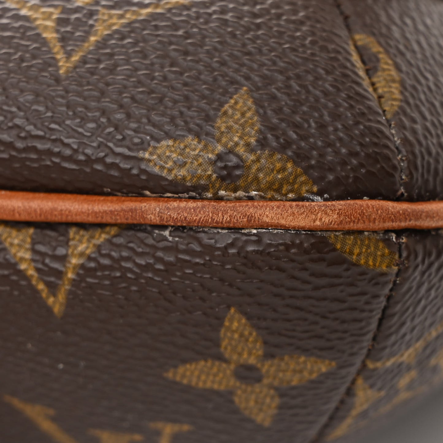 Monogram Musette Tango