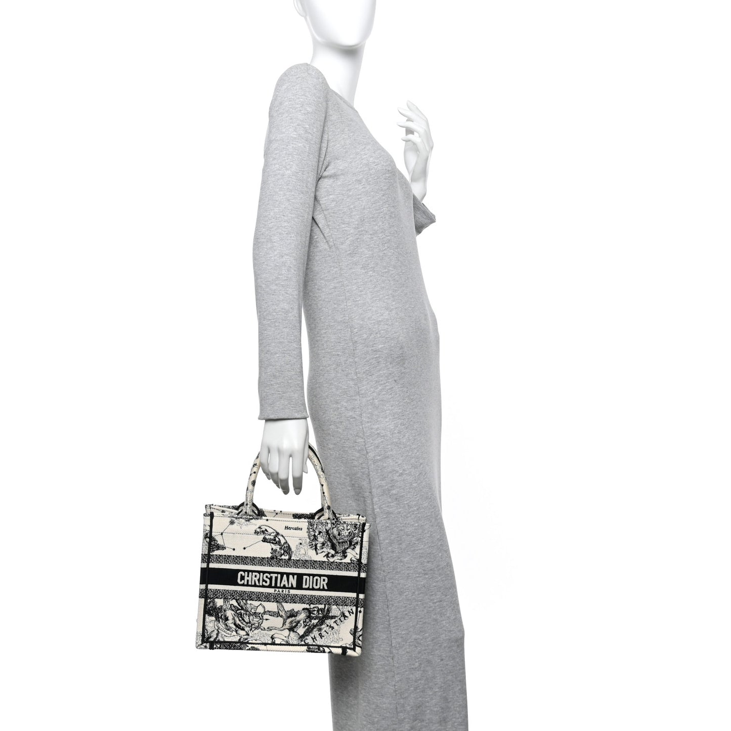 Canvas Embroidered Small Zodiac Toile De Jouy Book Tote Latte