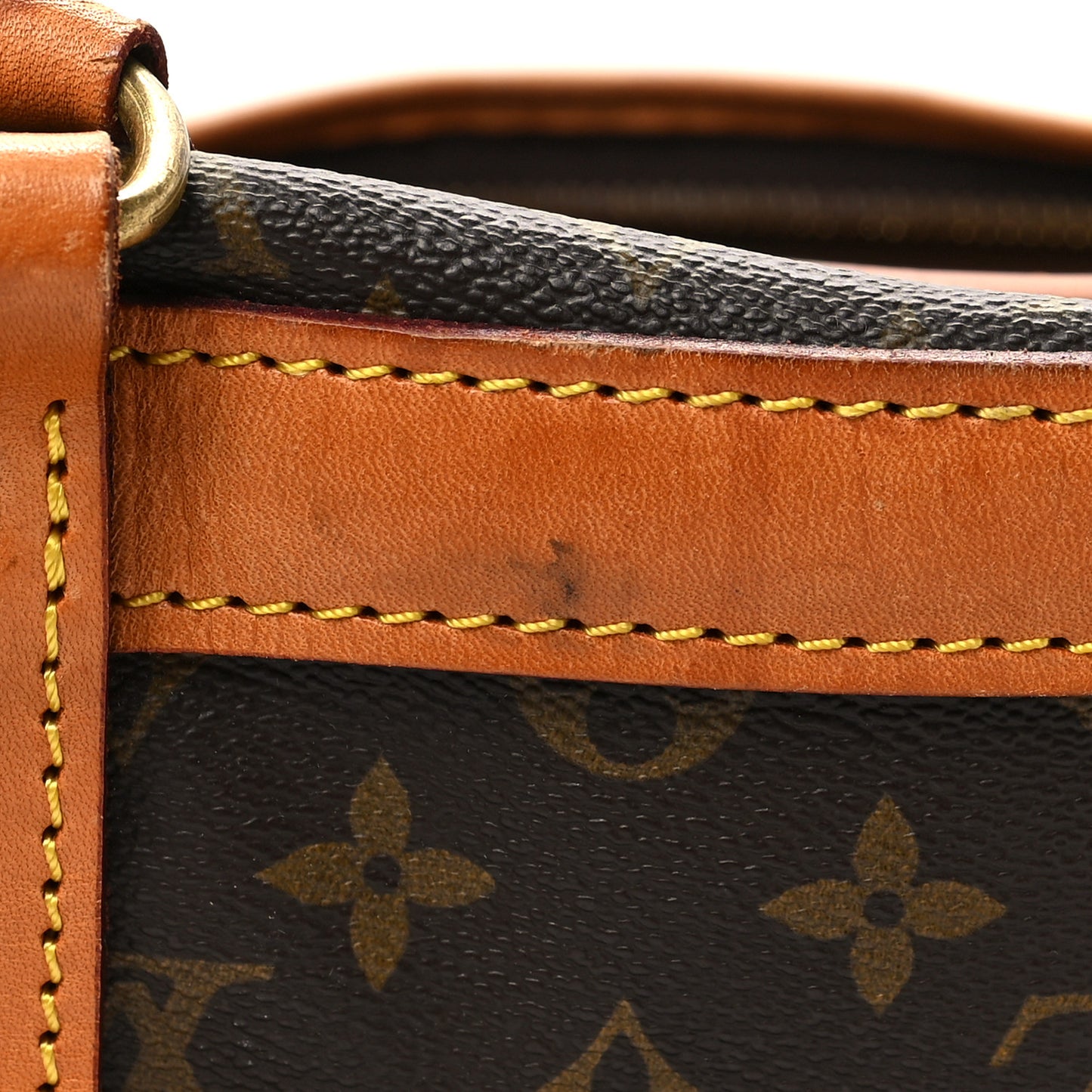 Monogram Sac Chien 40 Pet Carrier