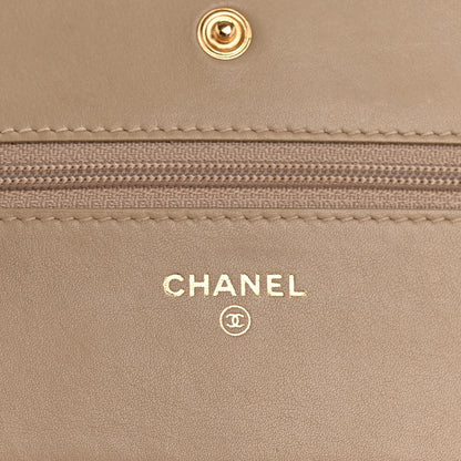 Chanel Snakeskin Wallet On Chain WOC Beige 6 of 15