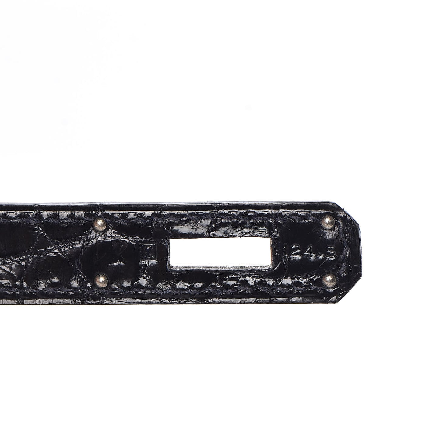 Shiny Niloticus Crocodile Kelly Sellier 32