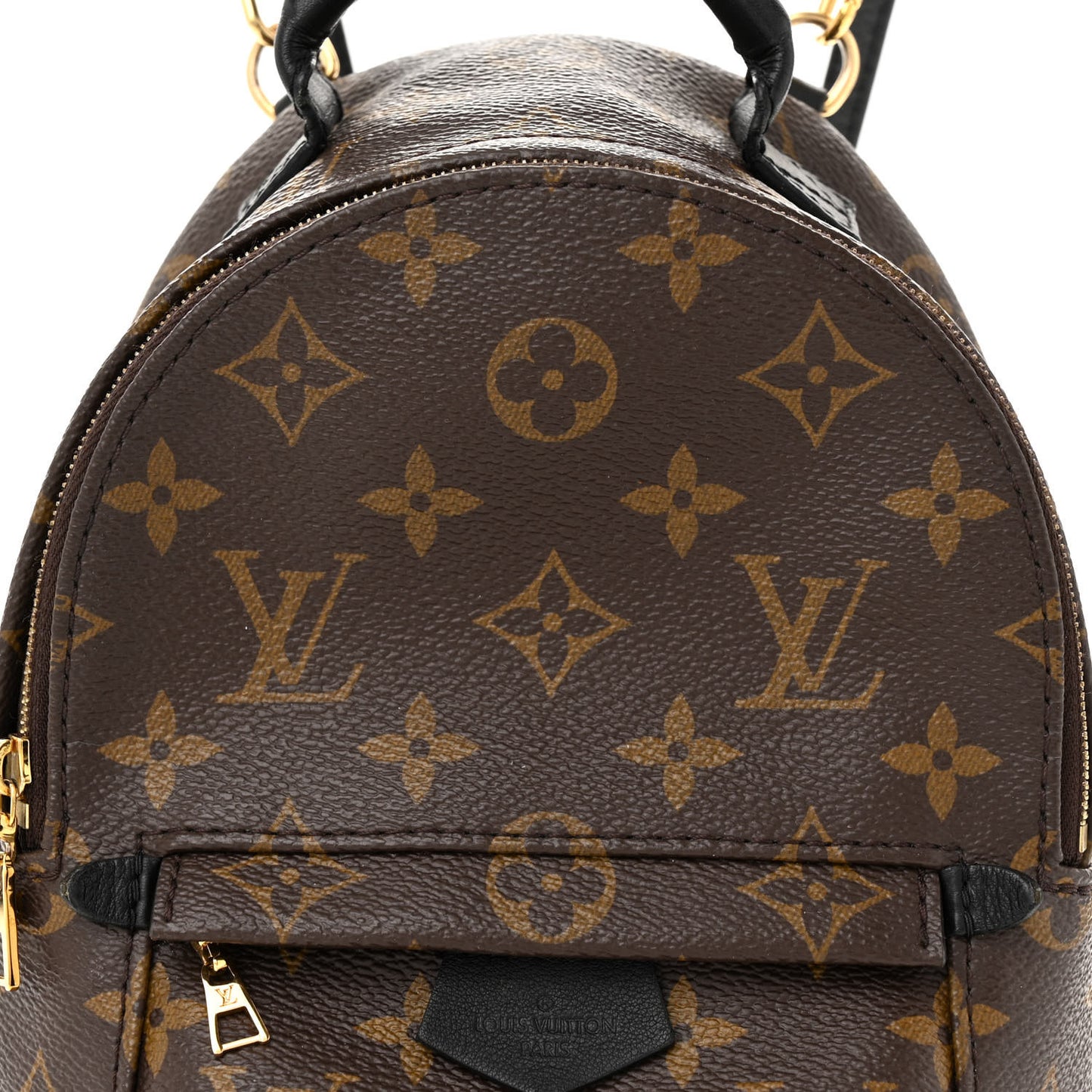 Monogram Palm Springs Backpack Mini