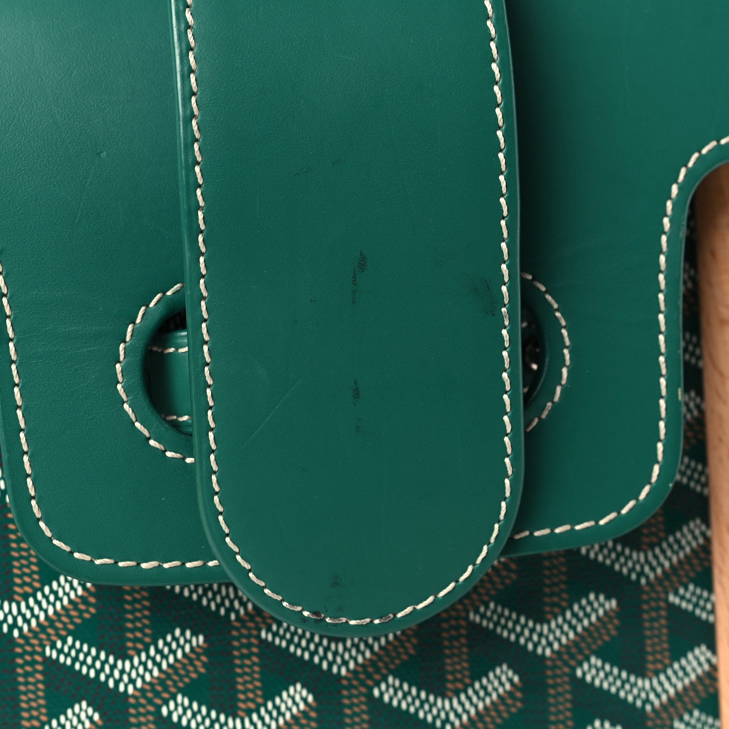 Goyard Goyardine Saigon PM Green 9 of 10
