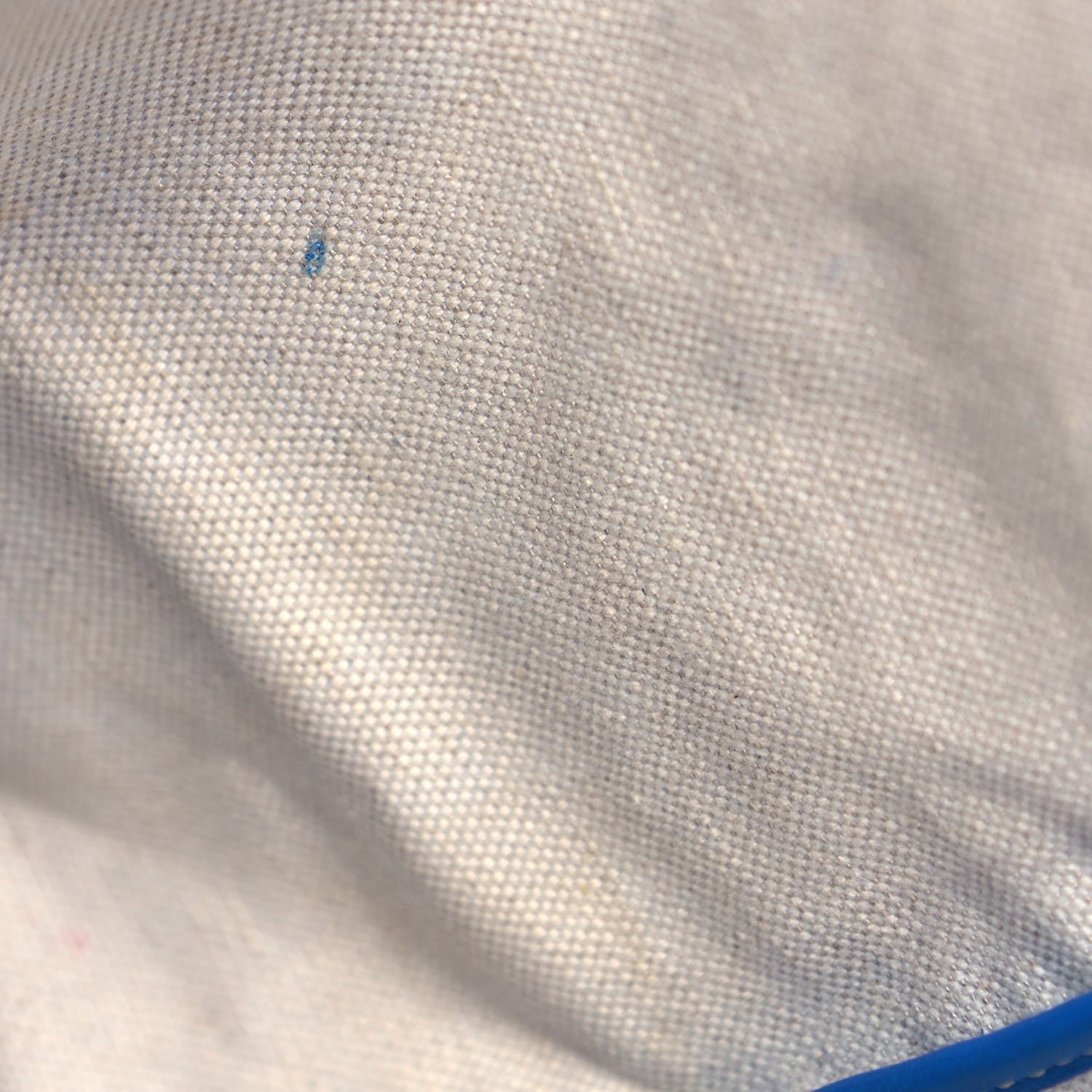 Goyard Goyardine Saint Louis PM Sky Blue 9 of 11
