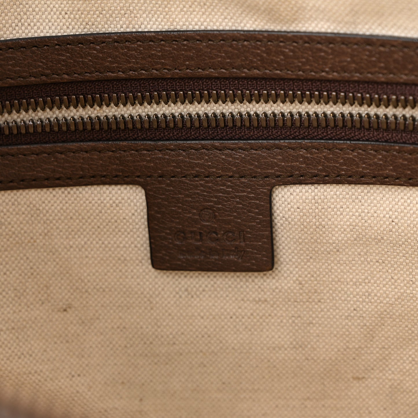 GG Supreme Monogram Web Small Ophidia Half Moon Hobo Brown