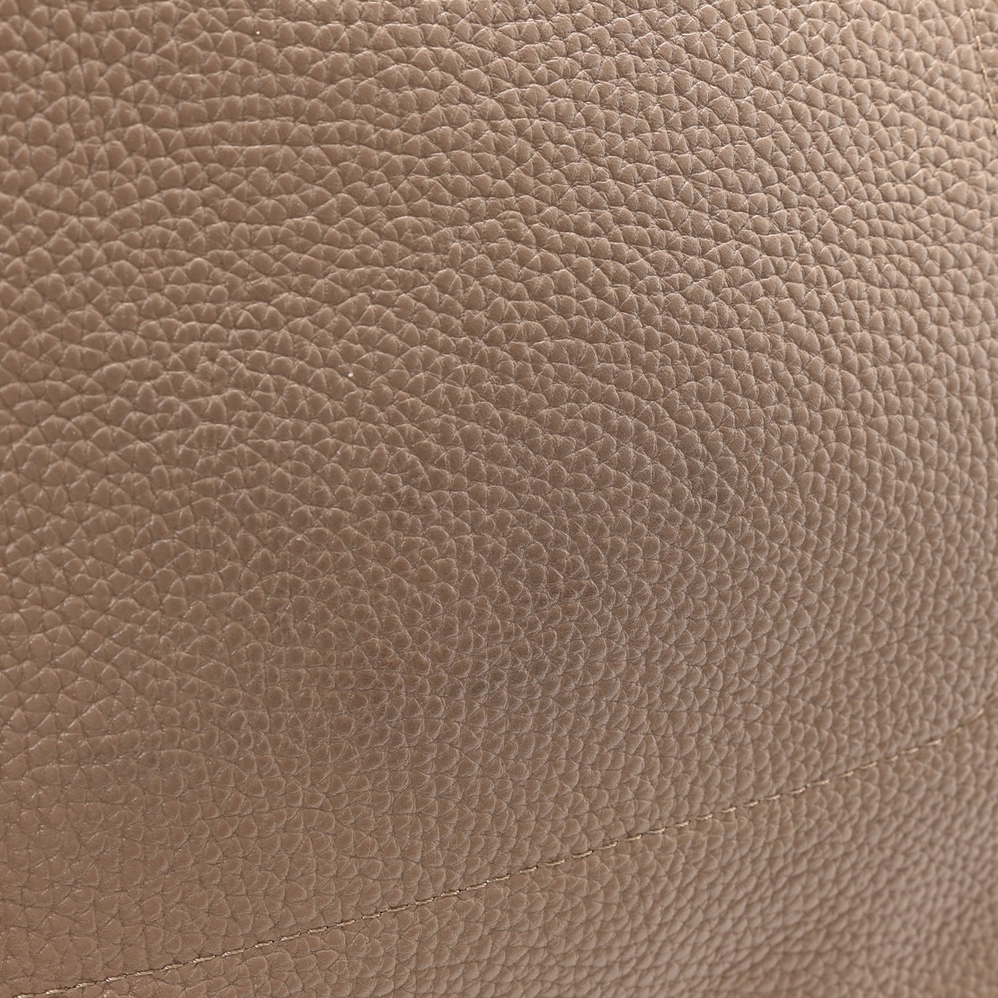 Pebbled Calfskin Everyday Cabas Biscotto