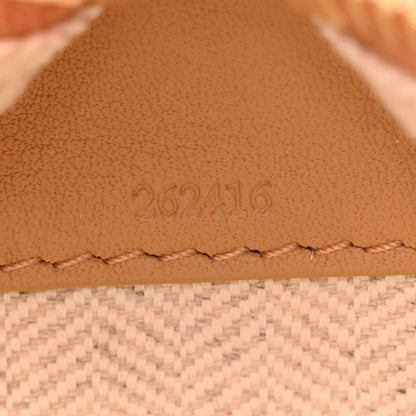 Loewe Calfskin Mini Hammock Hobo Sahara 7 of 10