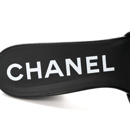 Chanel Lambskin Quilted Textured CC Mules 40 Black 6 of 11