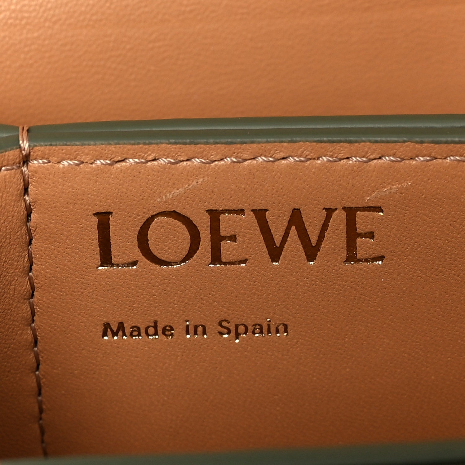 Loewe Silk Calfskin Goya Bag Avocado 6 of 9