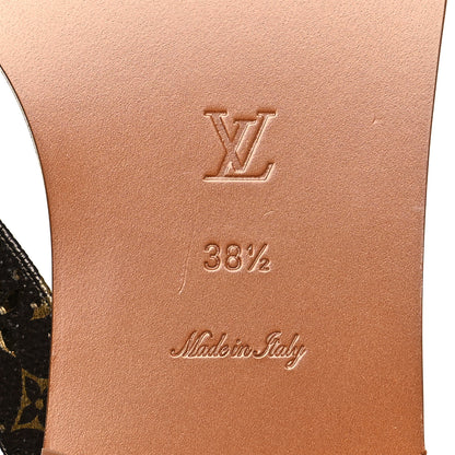 Louis Vuitton Monogram Sunny Flat Thong Sandals 38.5 Brown 7 of 10