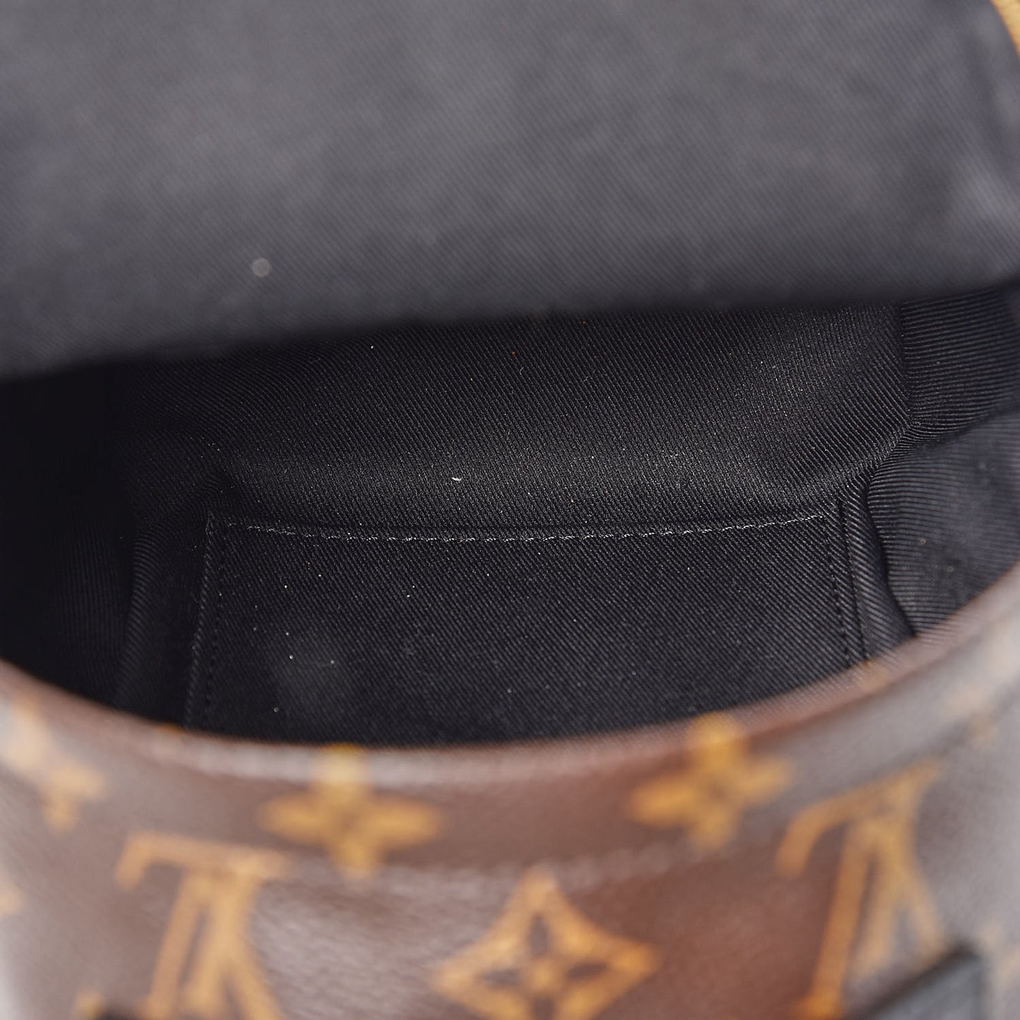 Monogram Palm Springs Backpack Mini