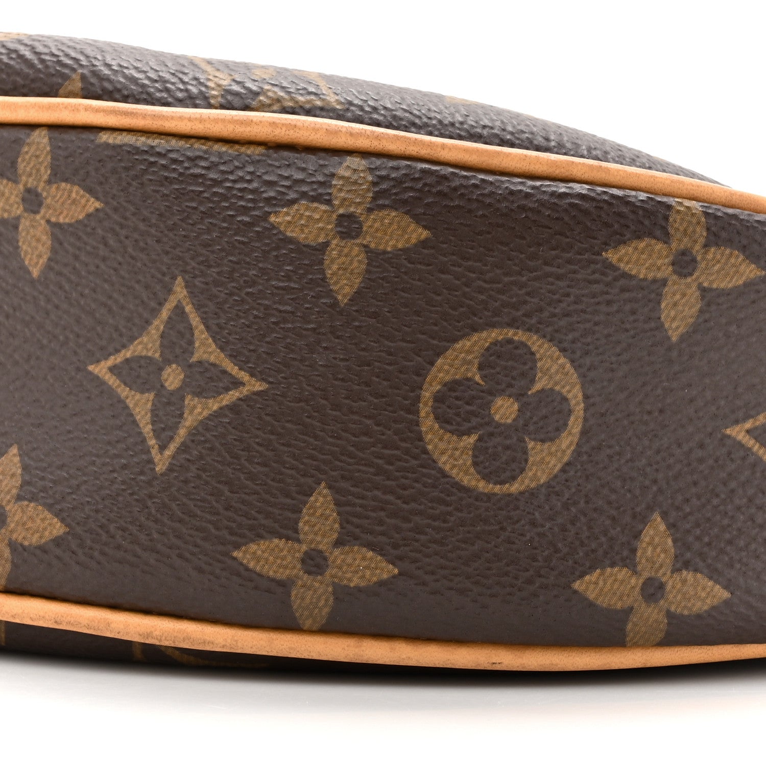 Louis Vuitton Monogram Loop 8 of 16
