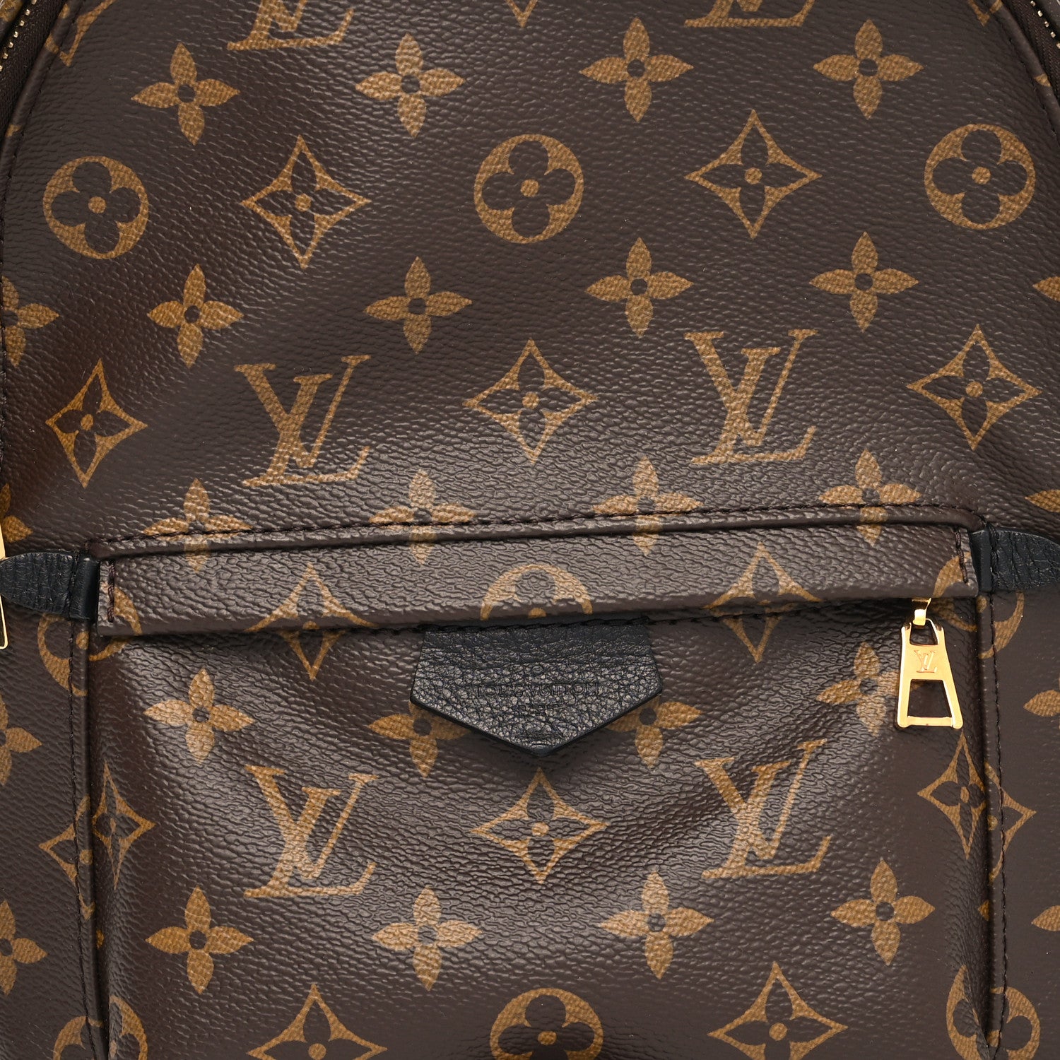 Louis Vuitton Monogram Palm Springs Backpack PM 8 of 13