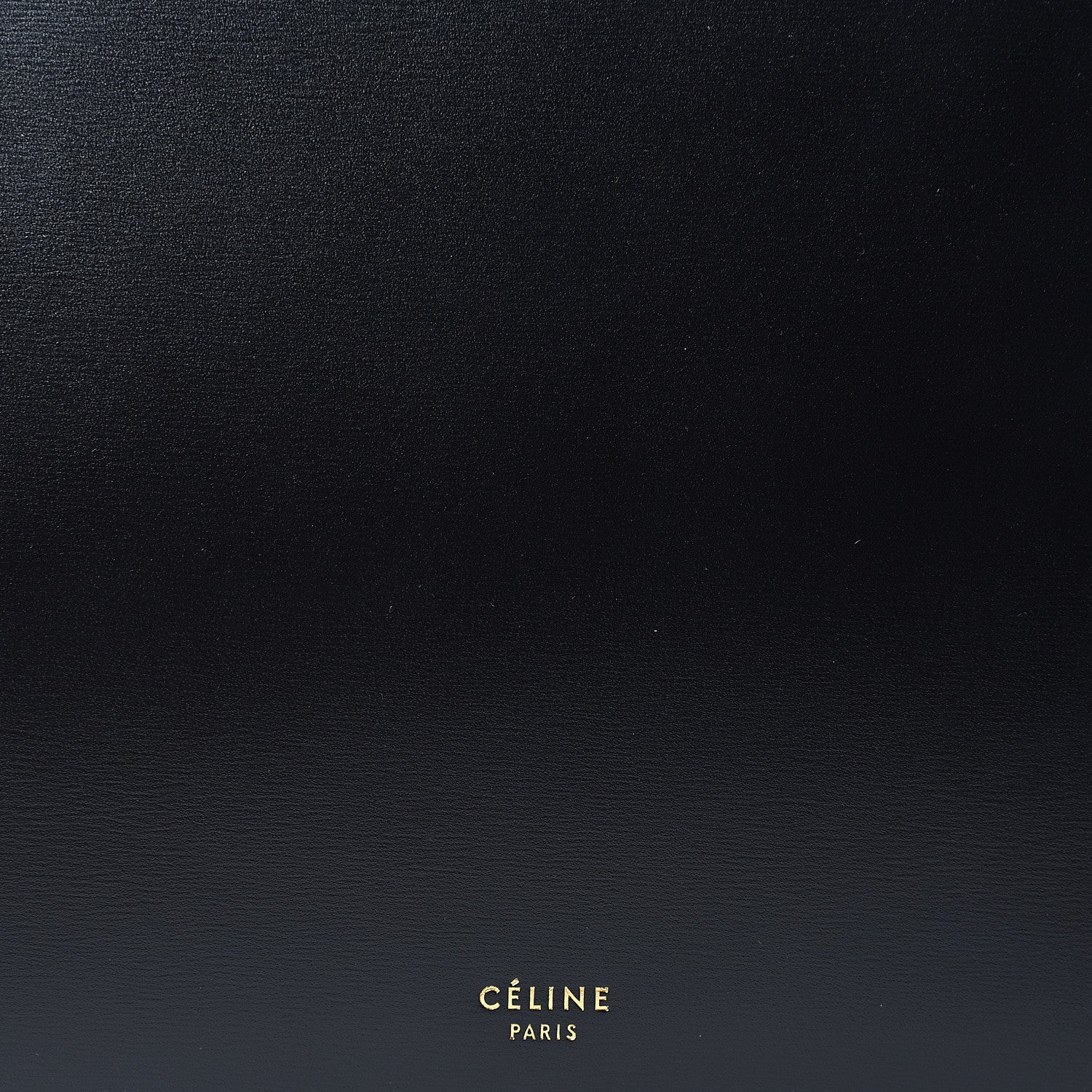 Celine Patina Box Calfskin Medium Clasp Bag Black 7 of 9