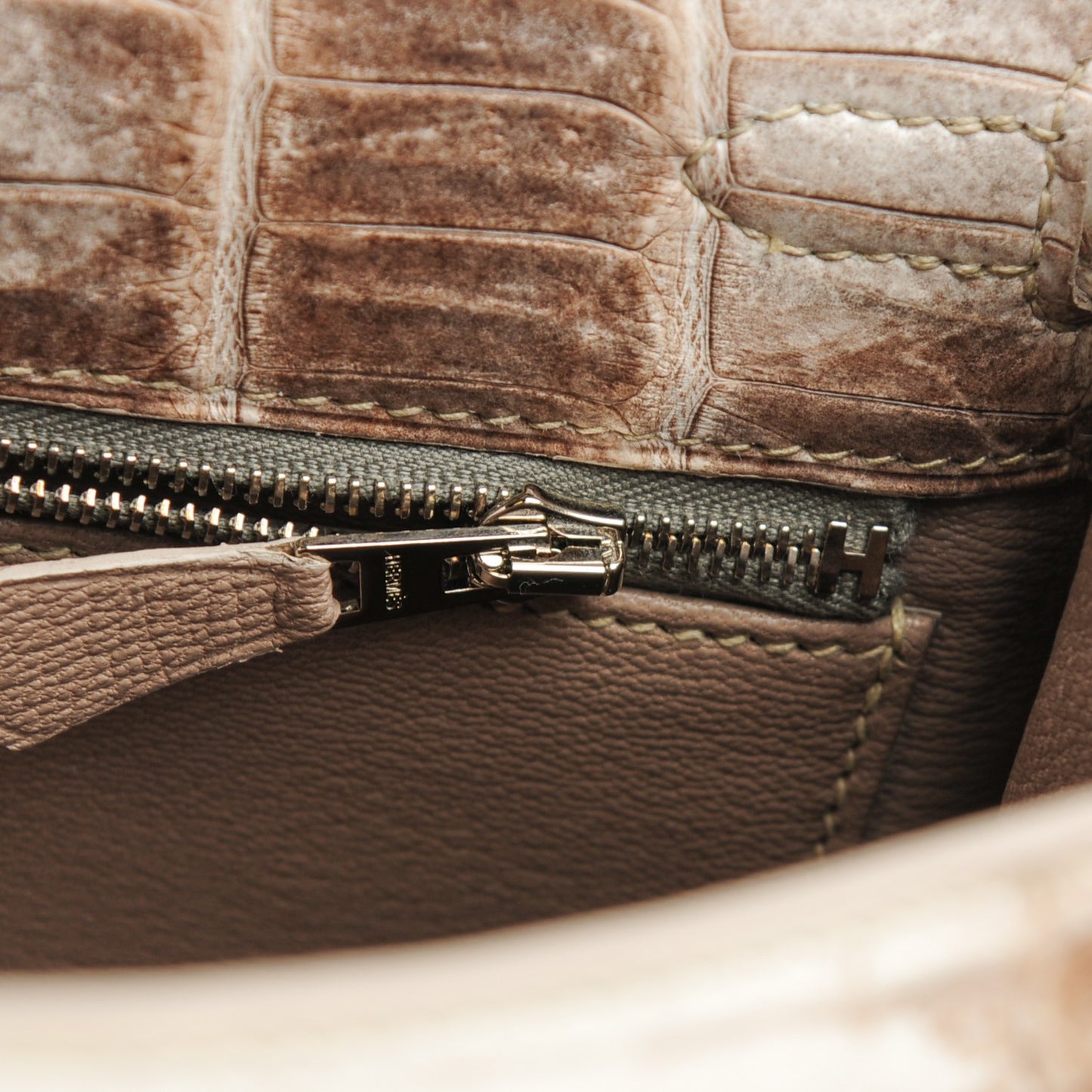 Matte Niloticus Crocodile Himalaya Kelly Retourne 25 White