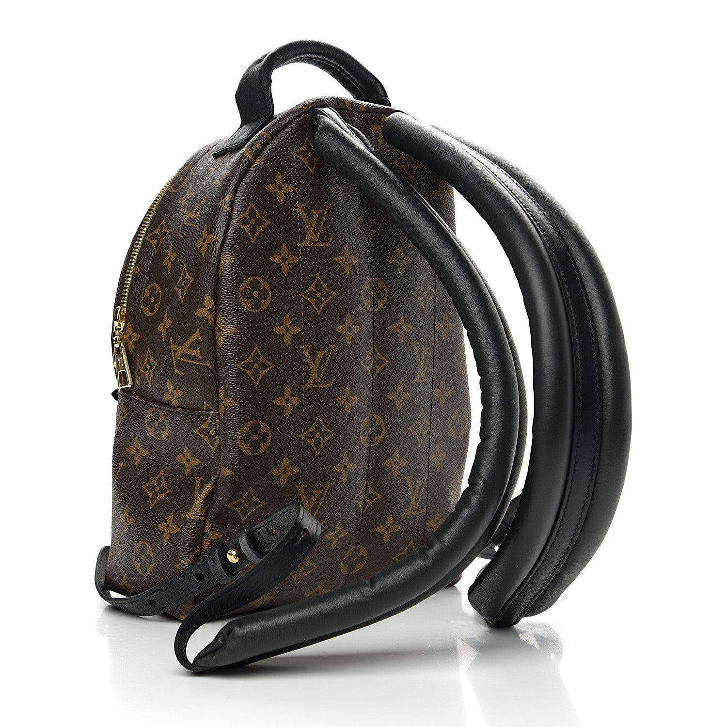 Louis Vuitton Monogram Palm Springs Backpack PM 2 of 8