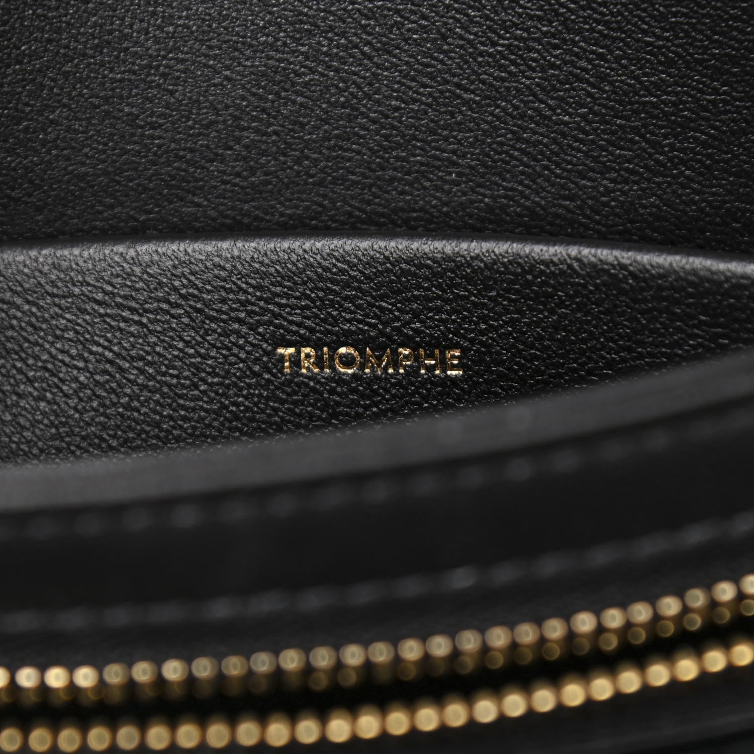 Celine Shiny Calfskin Teen Triomphe Black 7 of 10