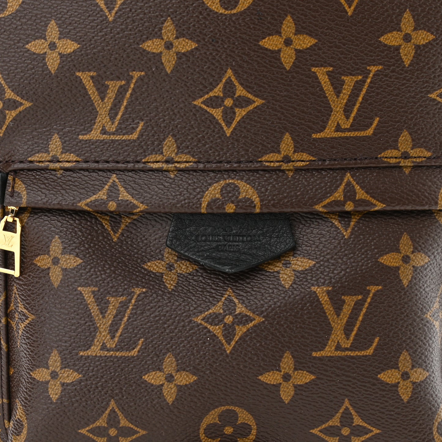 Monogram Palm Springs Backpack PM