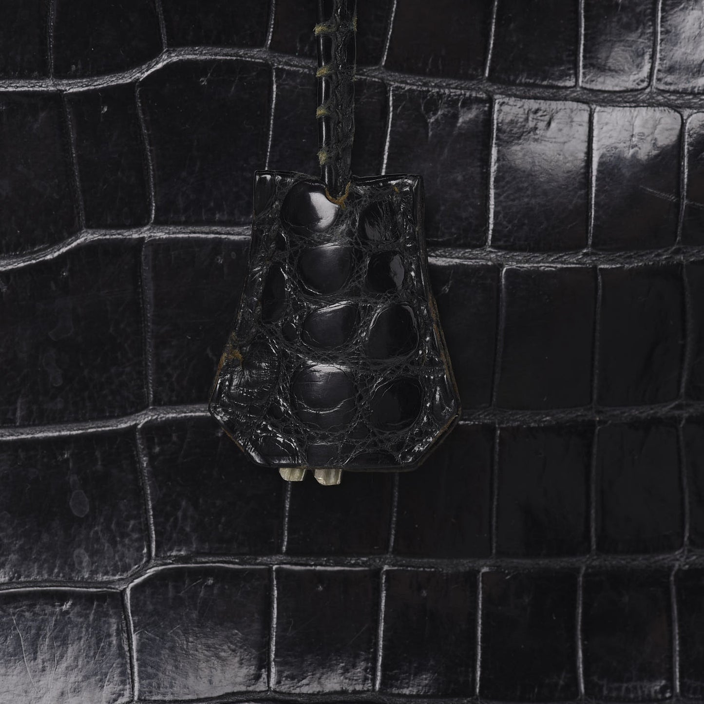 Shiny Porosus Crocodile Kelly Sellier 32 Black