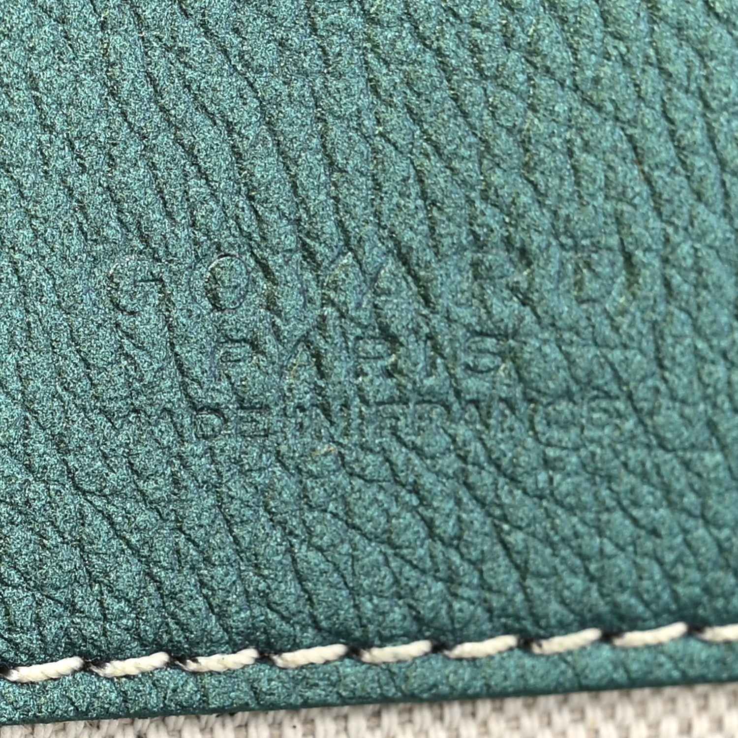 Goyard Iridescent Goyardine Saint Louis PM Pearly Green 8 of 12