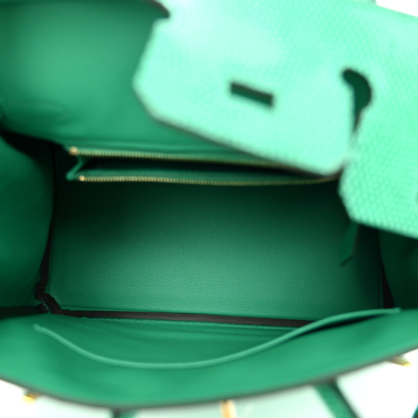 Lizard Birkin 25 Menthe