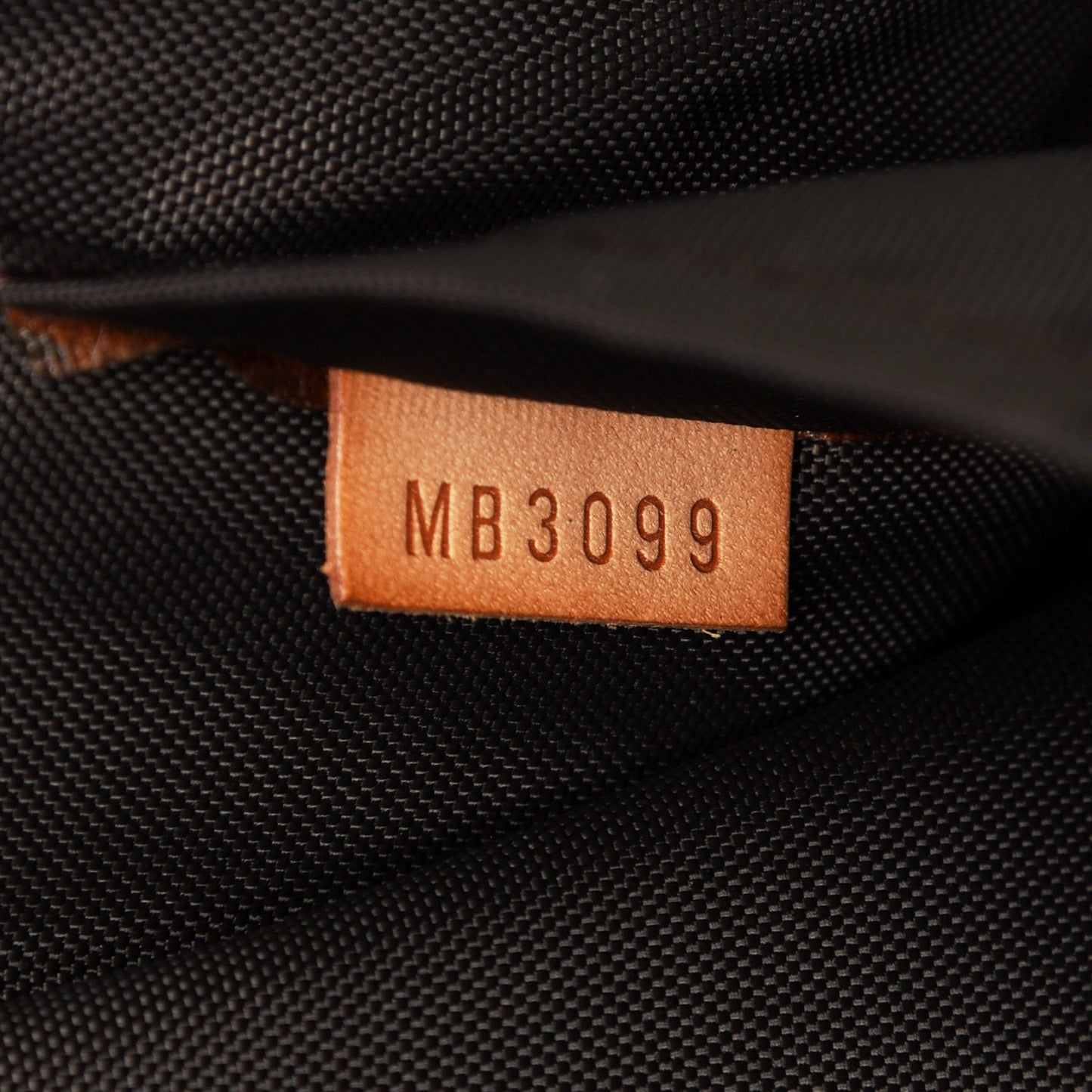 Monogram Pegase 55 Business