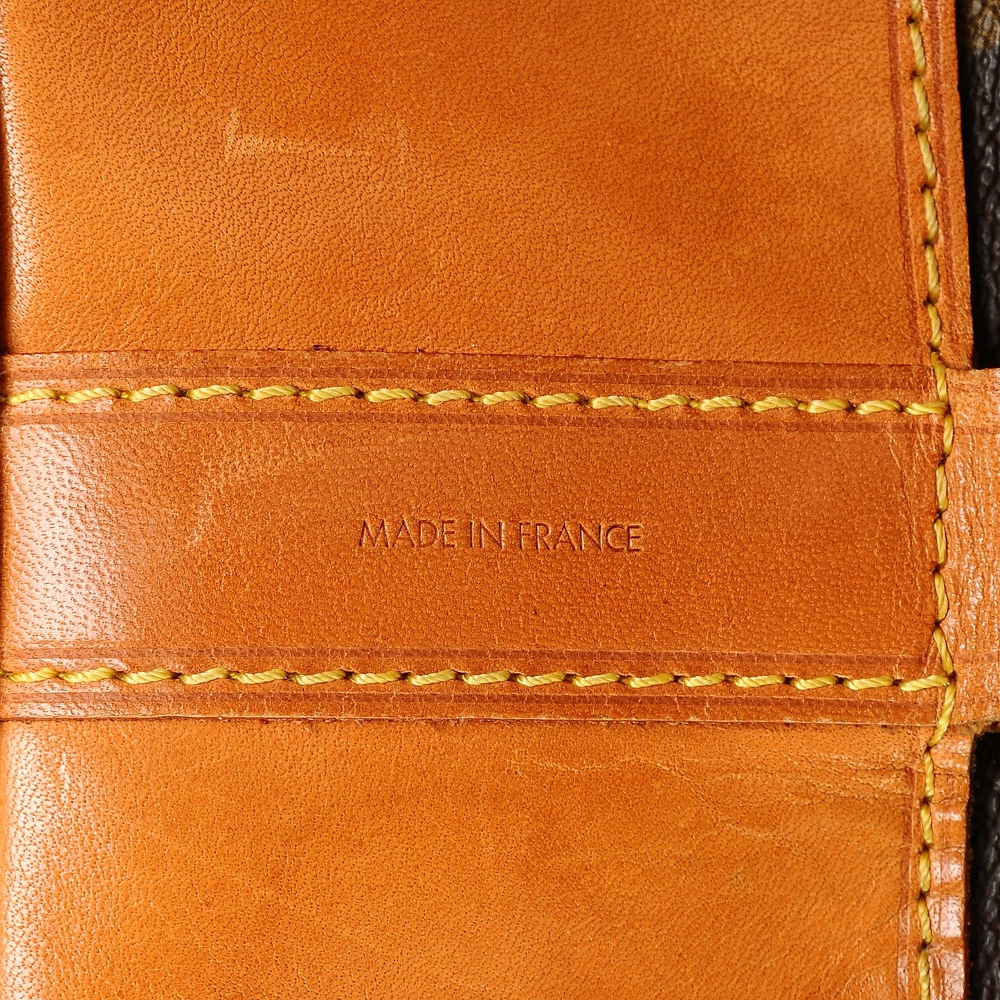 Monogram Randonnee GM Backpack