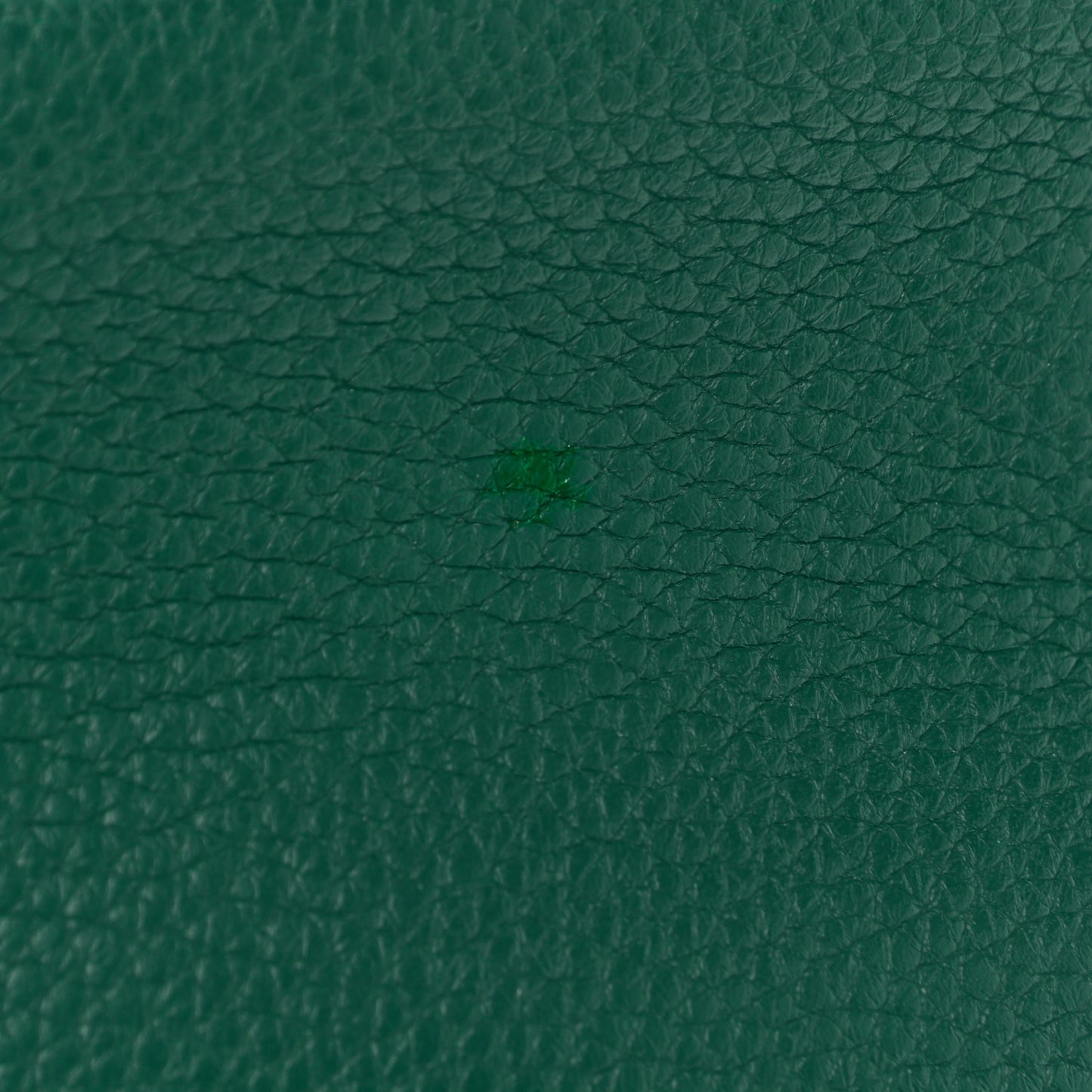 Taurillon Clemence Kelly Retourne 28 Malachite