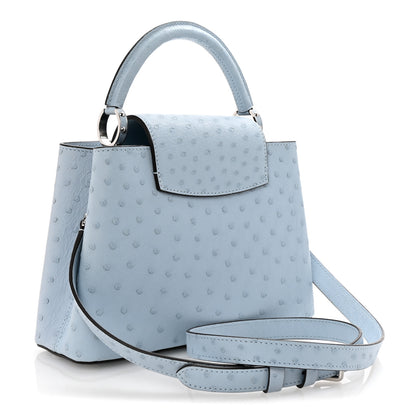 Louis Vuitton Ostrich Flower Chain Capucines BB Light Blue 3 of 9