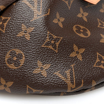 Louis Vuitton Monogram Bumbag 8 of 9