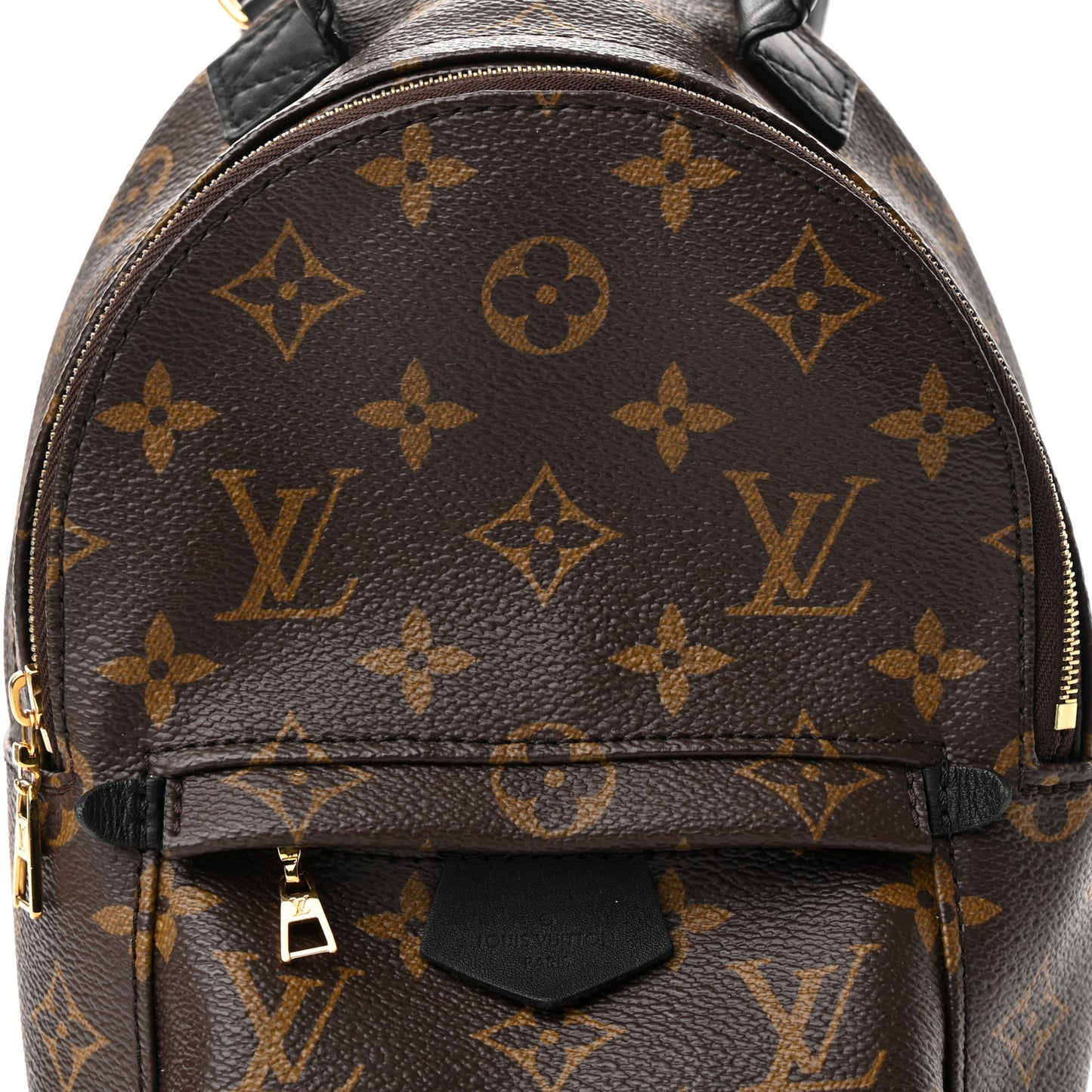 Monogram Palm Springs Backpack Mini