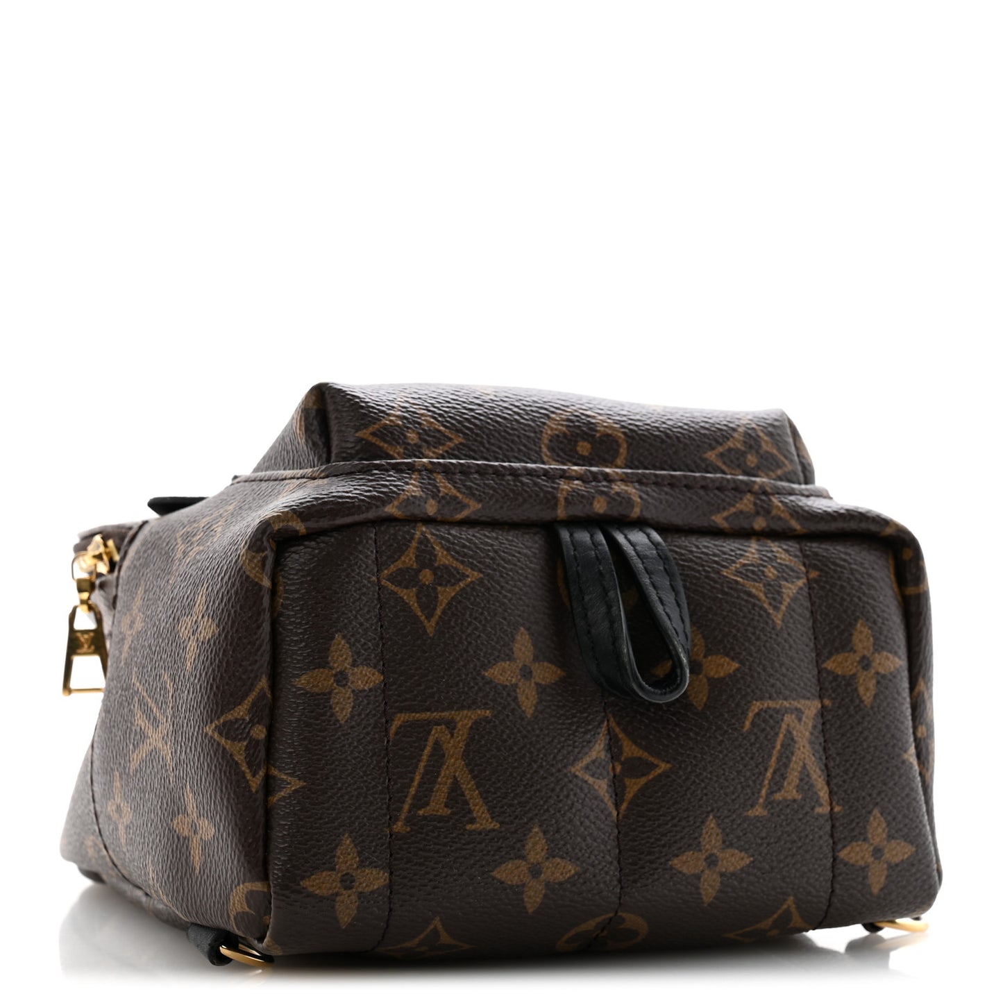 Monogram Palm Springs Backpack Mini