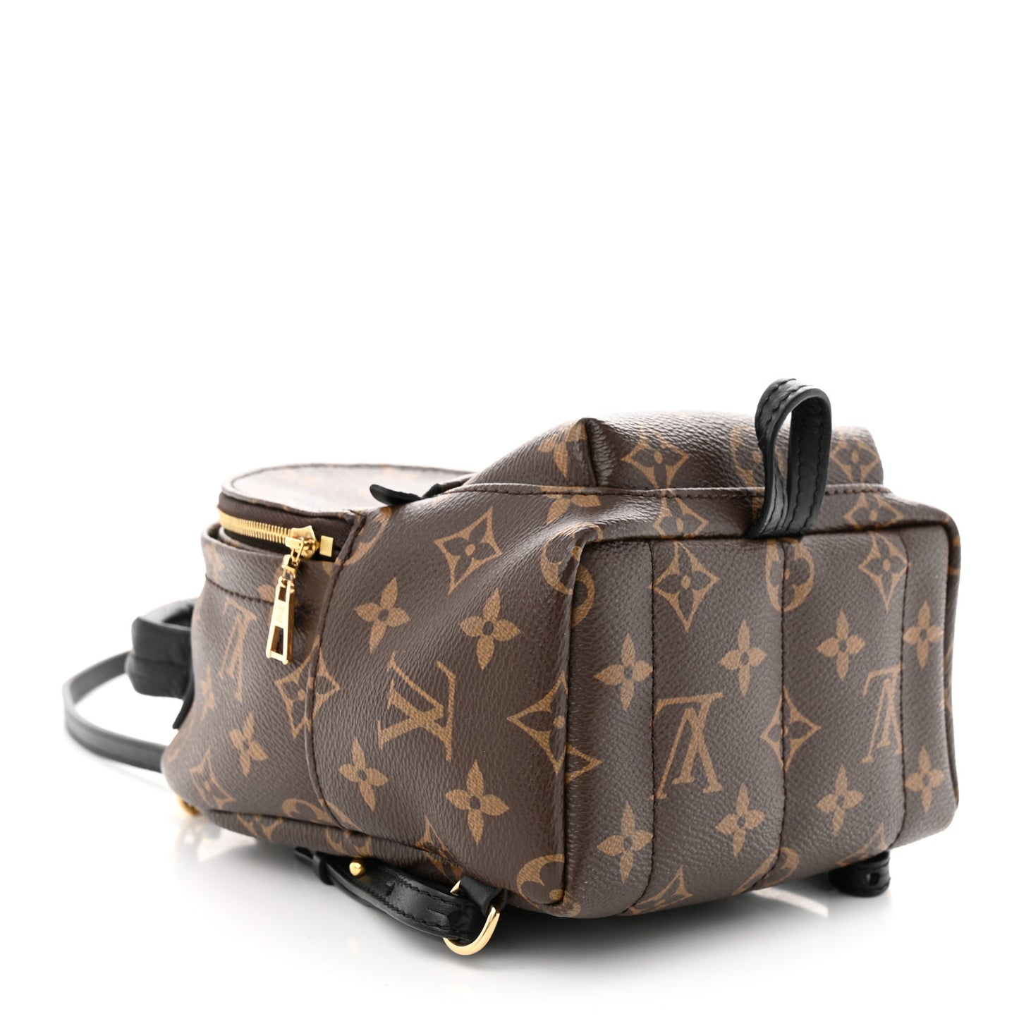 Monogram Palm Springs Backpack Mini