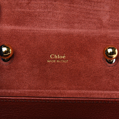 Chloe Calfskin Lizard Embossed Small Aby Lock Sepia Brown 5 of 9