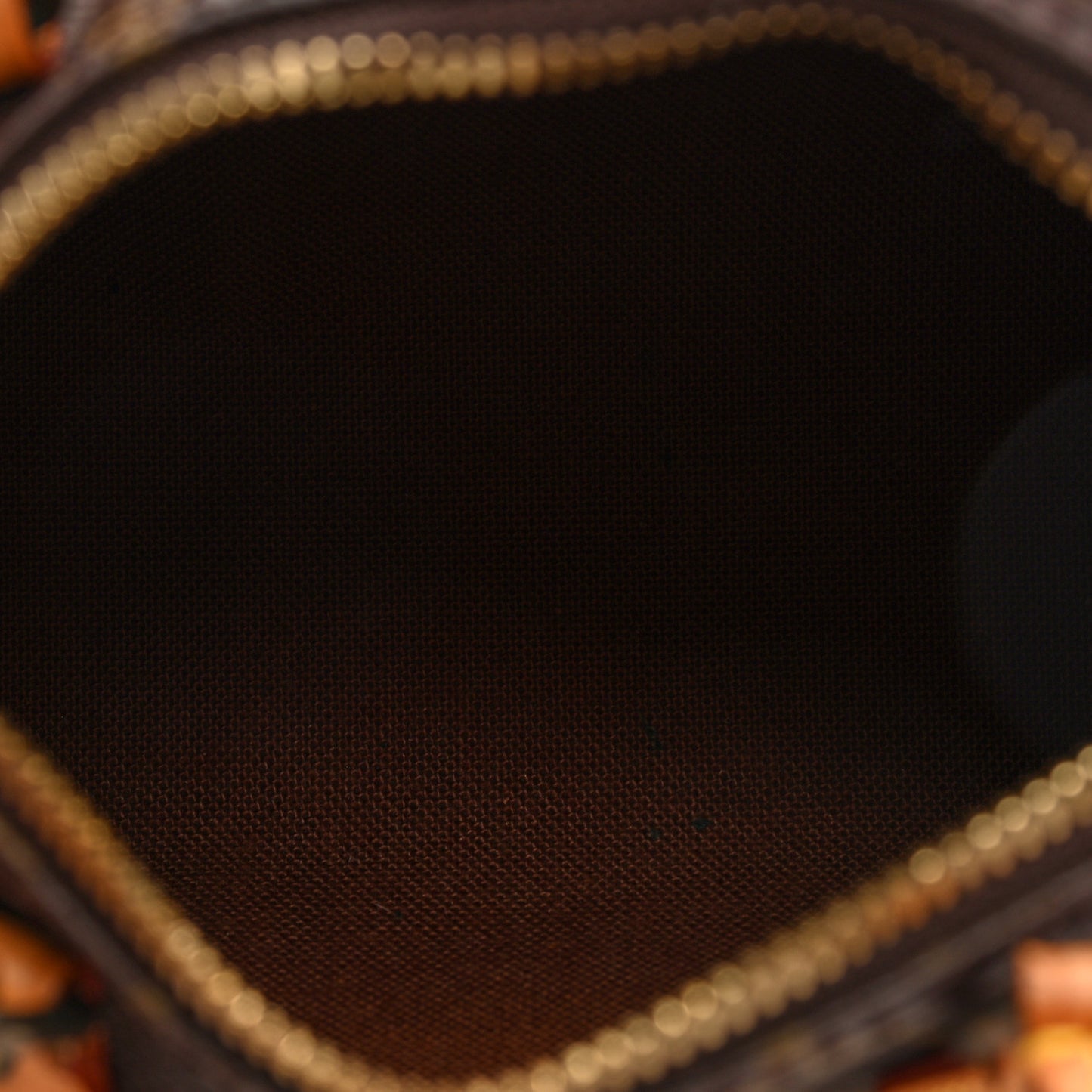 Monogram Mini Sac HL Speedy