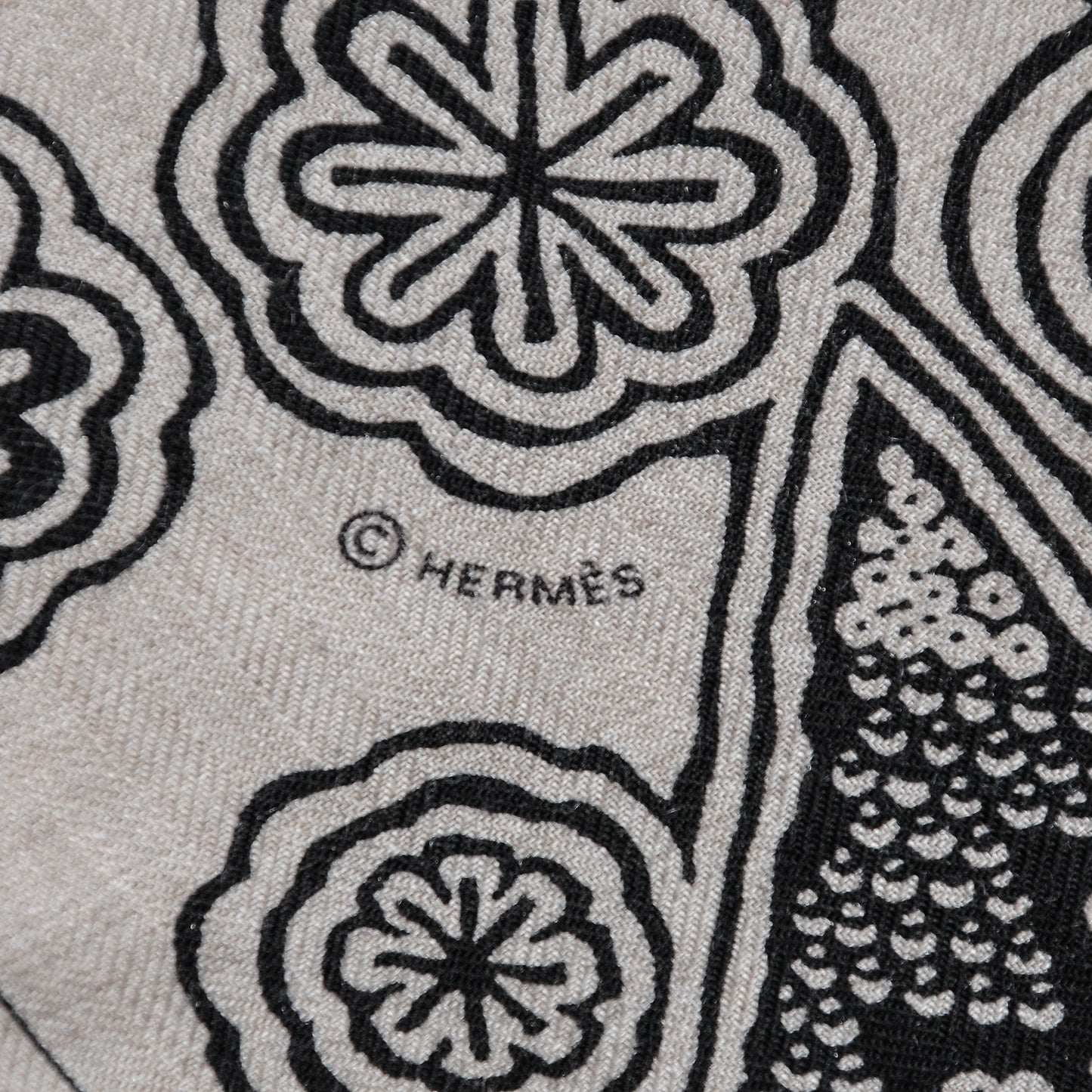 Cashmere Silk L'Arbre Du Vent Shawl 140