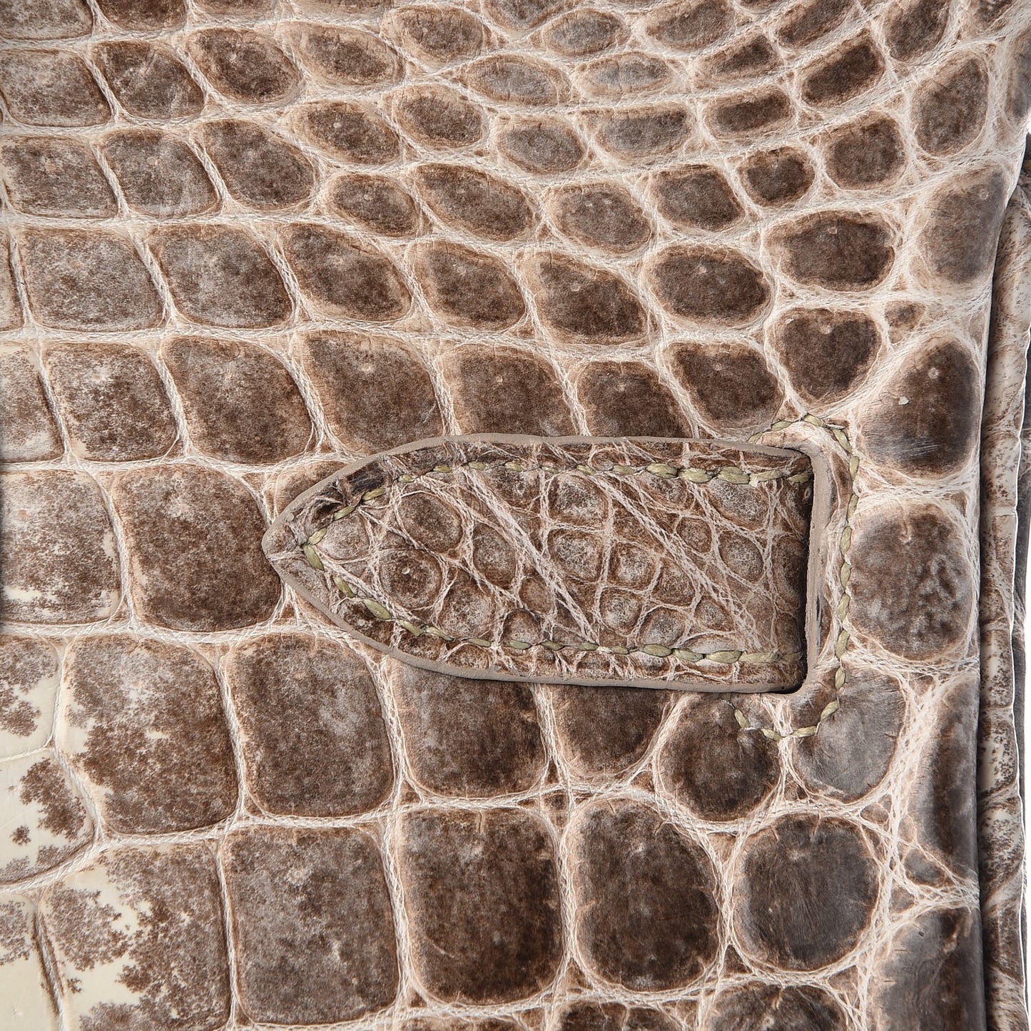 Matte Niloticus Crocodile Himalaya Birkin 30 Blanc