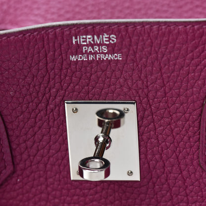 Hermes Togo Birkin 35 Tosca 20 of 30