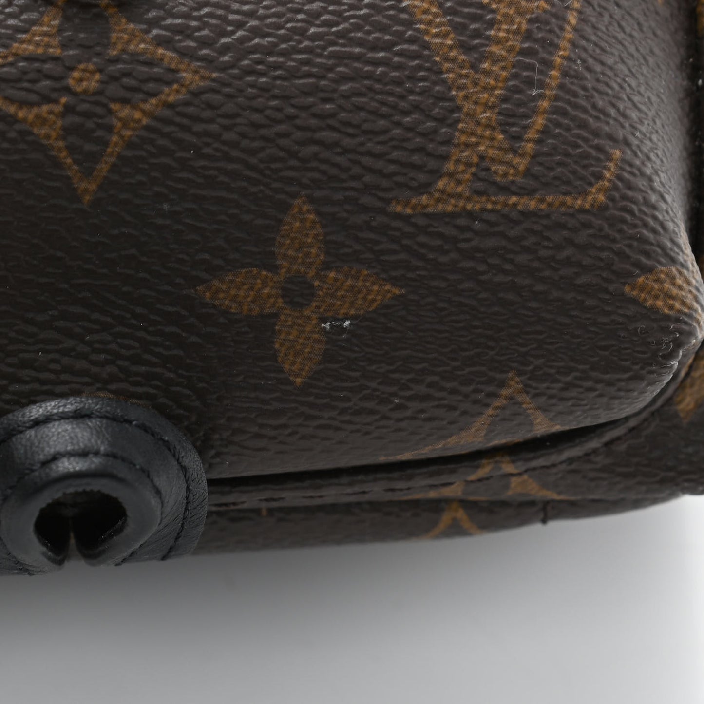 Monogram Palm Springs Backpack Mini