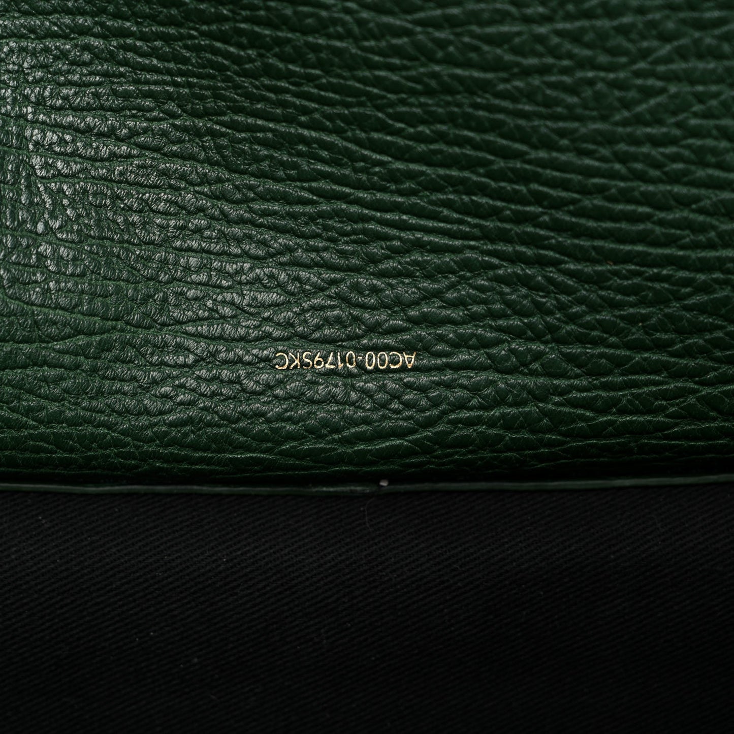 Textured Calfskin Medium Pashli Satchel Jade